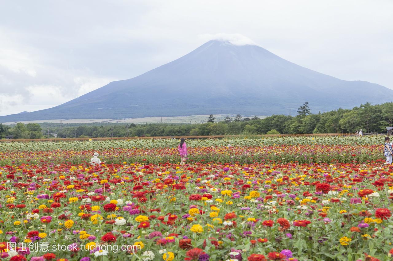 我想問一下怎么注銷駕照
